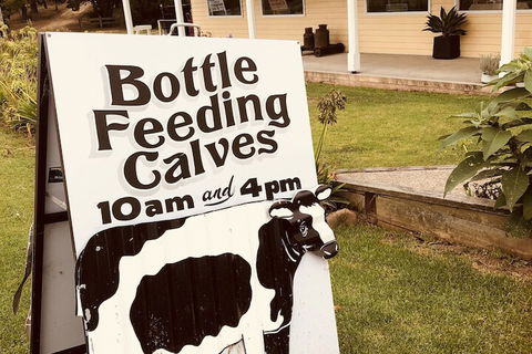 Bodalla Dairy Shed Guest Rooms - Accommodation Port Macquarie 6
