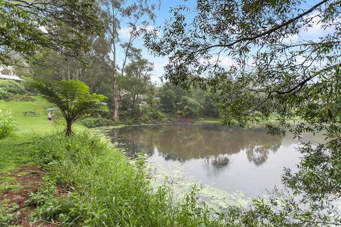 Maleny Wildlife Holiday House - Accommodation Port Macquarie 4