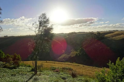 Cobden Crest Cottages - Accommodation Port Macquarie 5