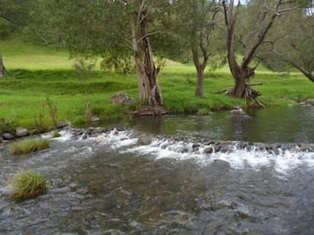 Christmas Creek Cafe & Cabins - Accommodation Port Macquarie 4