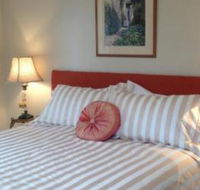 Every Man  His Dog Vineyard - Accommodation Port Macquarie