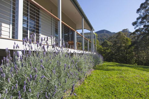 Wilderberry Cottage - Accommodation Port Macquarie 4