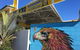 Big Bird Backpackers - thumb 3