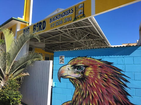 Big Bird Backpackers - Accommodation Port Macquarie 3