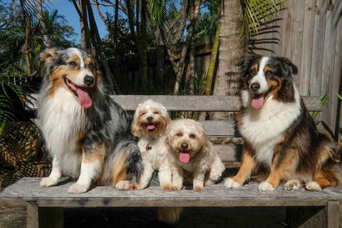 Wildlife Holiday Home - Accommodation Port Macquarie 4