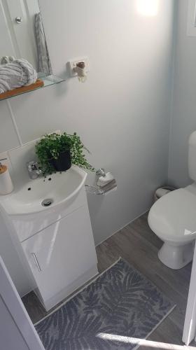 Ceespray On Owen - Accommodation Port Macquarie 4