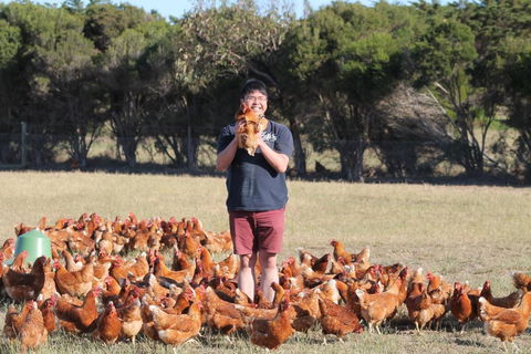 Bimbadeen Phillip Island Farm Retreats - Accommodation Port Macquarie 4