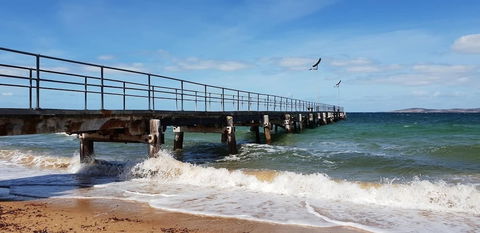 Port Lincoln Caravan Park - Accommodation Port Macquarie 3