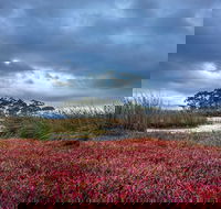 Saintys Creek Cottage - Accommodation Port Macquarie