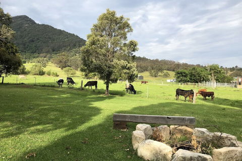 ARCADIA - The Barn Cottage & Rosehill Cottage - Accommodation Port Macquarie 3