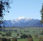 Off Mountain Accommodation - Accommodation Port Macquarie