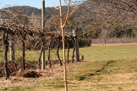 The Farmhouse At Blue Wren Wines - Accommodation Port Macquarie 3