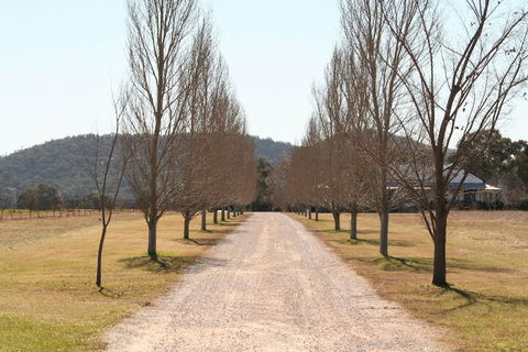 The Farmhouse At Blue Wren Wines - Accommodation Port Macquarie 4