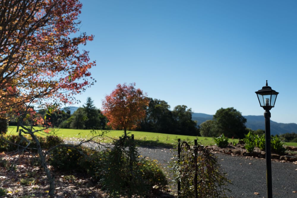 North Dorrigo NSW Accommodation Port Macquarie