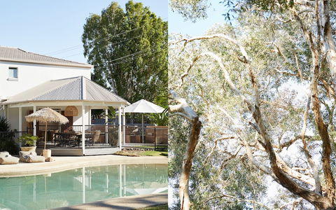 The Brunswick, Brunswick Heads - Accommodation Port Macquarie 1