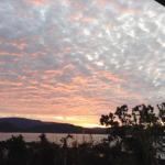 Studio Apartment With Seaview - Accommodation Port Macquarie 0
