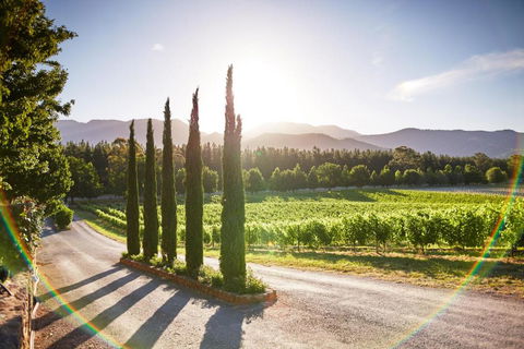 Feathertop Winery - Accommodation Port Macquarie 5