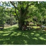 Bielbys Hideaway - Accommodation Port Macquarie 0