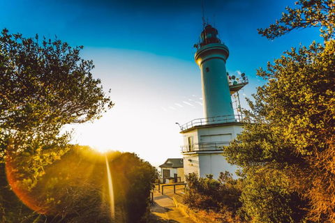 Abaleen House - Accommodation Port Macquarie 5