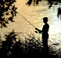 Wooli River Lodges - Accommodation Port Macquarie