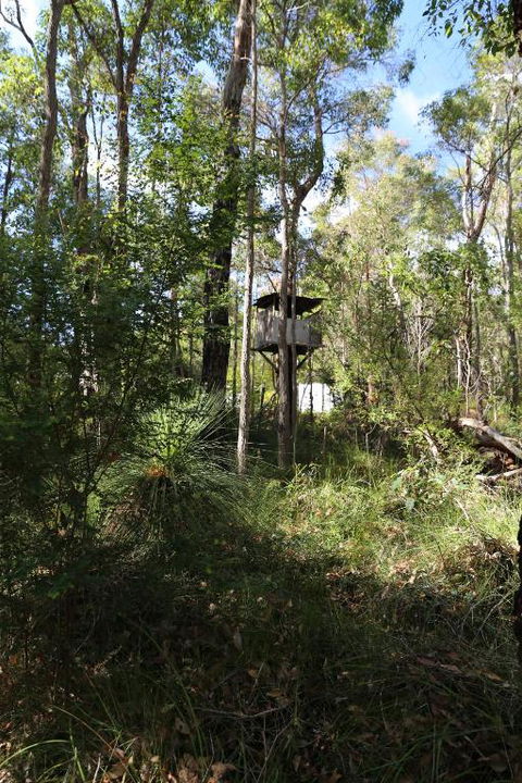 Nannup Bush Retreat - Accommodation Port Macquarie 2