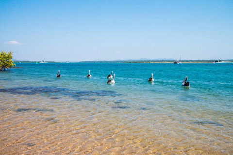 The Gallery - Accommodation Port Macquarie 4
