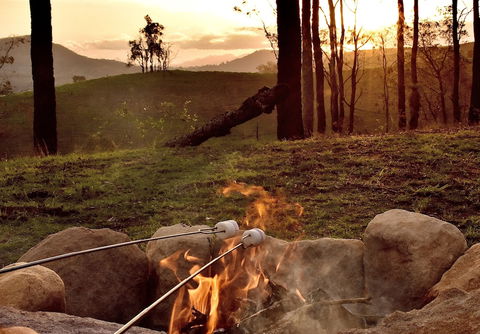 Ketchup's Bank Glamping - Accommodation Port Macquarie 4