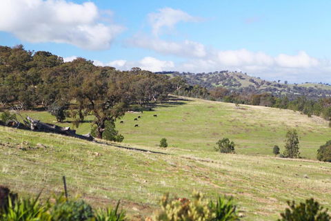 Longview Holiday Let - Accommodation Port Macquarie 3