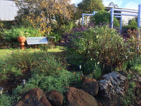 Chestnut Brae Farmstay - Accommodation Port Macquarie 4