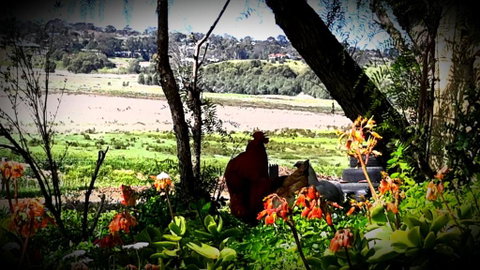 A La Folly - Accommodation Port Macquarie 6