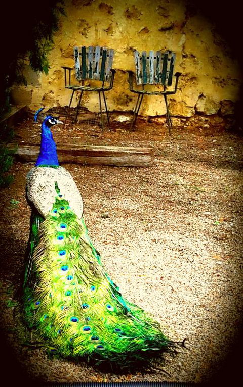A La Folly - Accommodation Port Macquarie 4