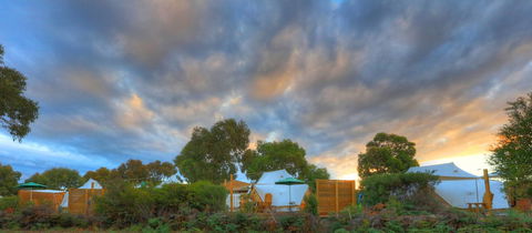 Scamander Sanctuary Holiday Park - Accommodation Port Macquarie 0