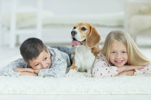 BOUTIQUE STAYS - Brighton Abode - Accommodation Port Macquarie 5