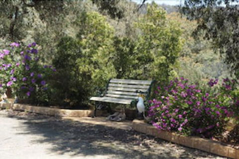 Wild Cherry Bed & Breakfast - Accommodation Port Macquarie 3