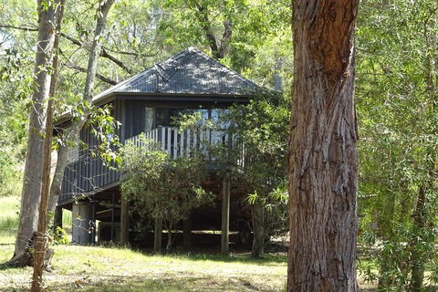 Barrington Tops Nest - Accommodation Port Macquarie 2