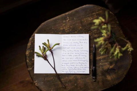 Botanica Editions - Accommodation Port Macquarie 7