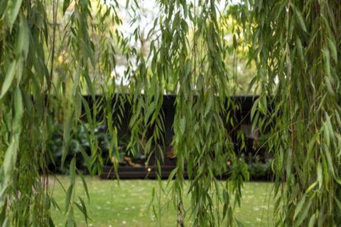 Botanica Editions - Accommodation Port Macquarie 6