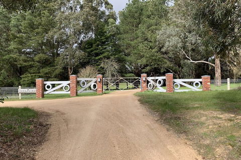 Helen's Homestead - Accommodation Port Macquarie 7