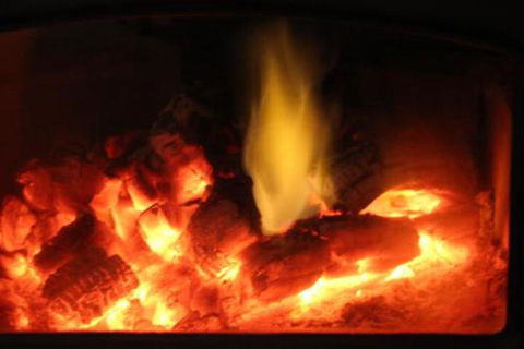 Wattle Grove Homestead Bed & Breakfast - Accommodation Port Macquarie 1