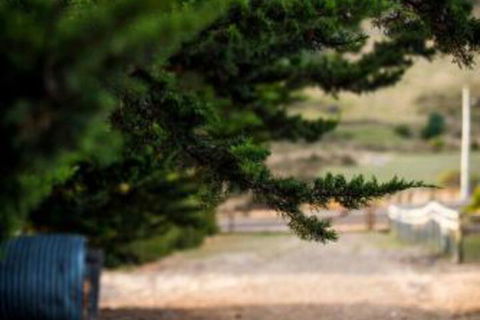 Wattle Grove Homestead Bed & Breakfast - Accommodation Port Macquarie 5