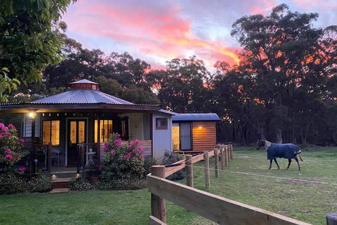 Ionaforest Yurt & Shepherds Hut - Accommodation Port Macquarie 3