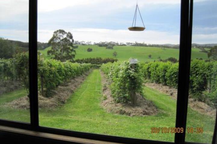 Whoorel ACT Accommodation Port Macquarie