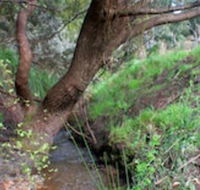 Longwood Retreat - Accommodation Port Macquarie