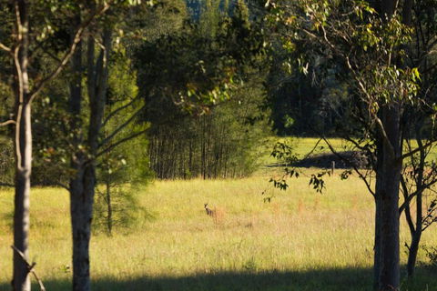 Windsors Edge Cottage Rothbury - Accommodation Port Macquarie 2