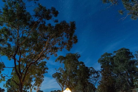Cosy Tents - Daylesford - Accommodation Port Macquarie 1