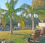 The Oasis on Jacobs Drive - Accommodation Port Macquarie