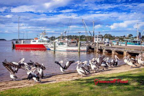Fishermans Friend At Greenwell Point - Accommodation Port Macquarie 7