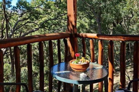 Shady Creek Eco Cabin - Accommodation Port Macquarie 1