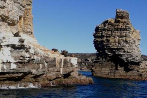 Summer Retreat At Callala Beach - Accommodation Port Macquarie 7