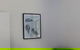 Panorama Views - Bright - thumb 0